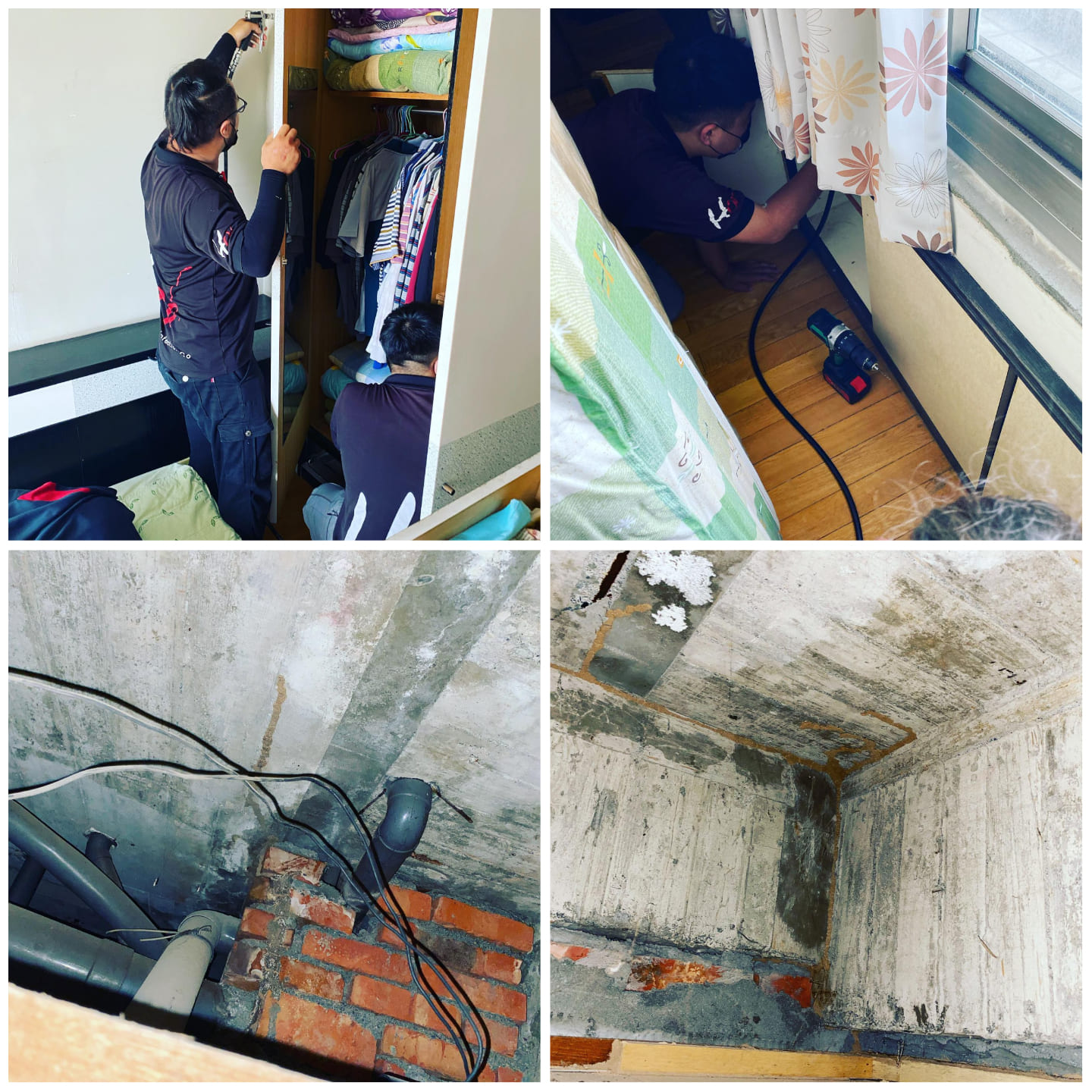 Ho消毒有限公司的實際案例圖片